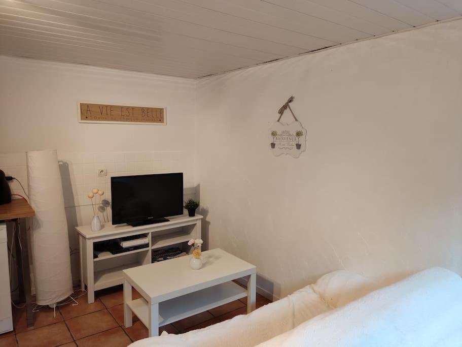 Appartement En Rez De Jardin Et Terrasse Ds Villa Hyeres Bagian luar foto